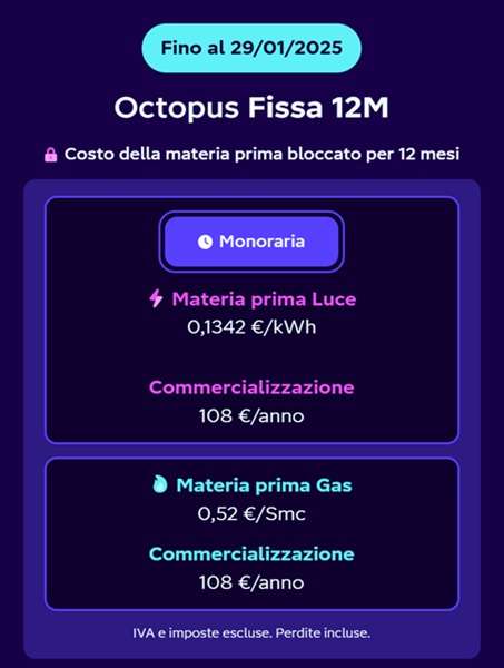 octopus fissa 12m offerta