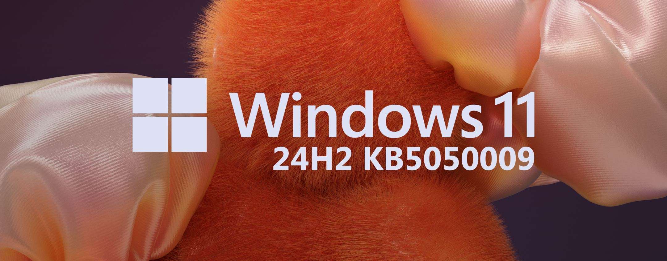 Windows 11 24H2, è il Patch Tuesday: KB5050009 in download