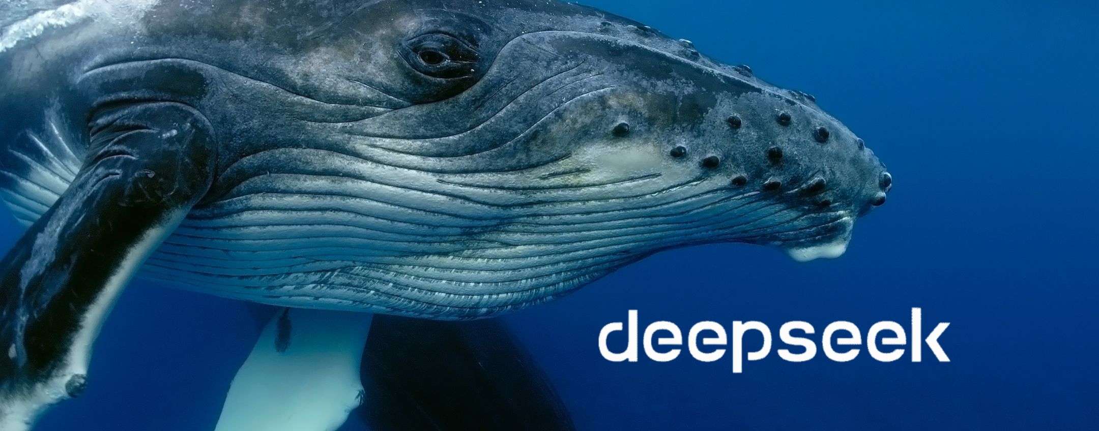 DeepSeek, i modelli AI possono essere redditizi del 545%